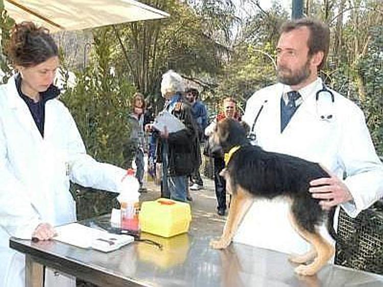 Sanità: l'indagine, oltre 76% veterinari investe in Ecm