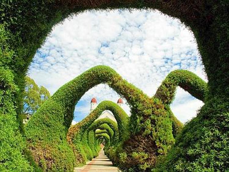 A.A.A. cercasi artisti giardinieri per ville e giardini in Veneto