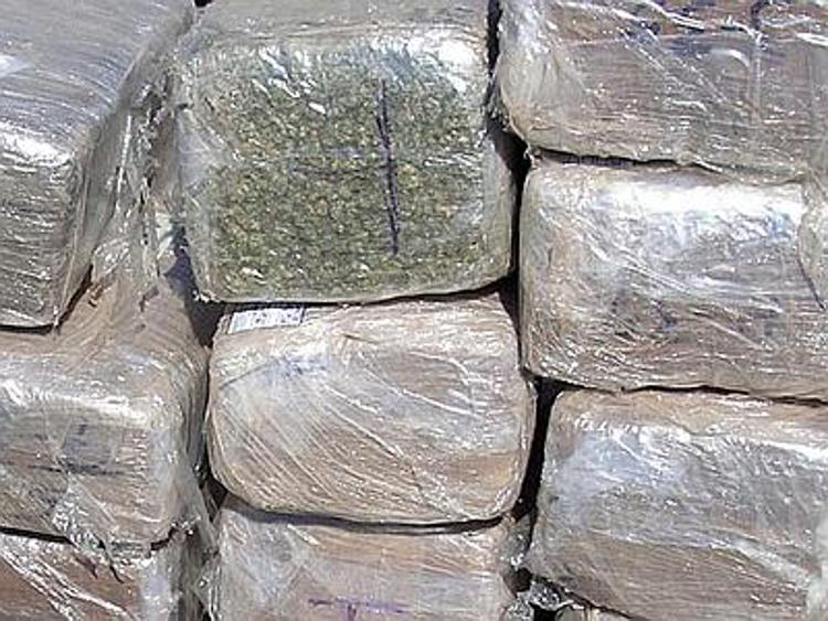 Droga, Gdf sequestra 300 kg di marijuana e 7,7 di cocaina