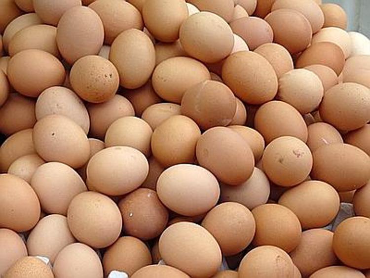 Foggia, sequestrate 30 mila uova con data di scadenza posticipata