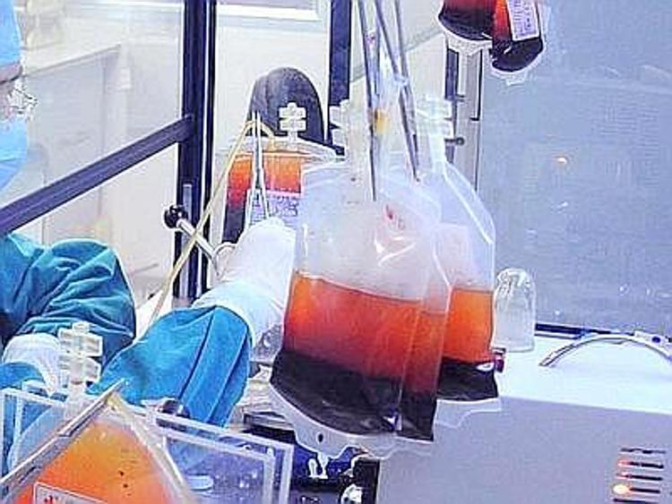 Zingaretti: ''Nel 2013 spesi 5 milioni per l'acquisto di sangue''