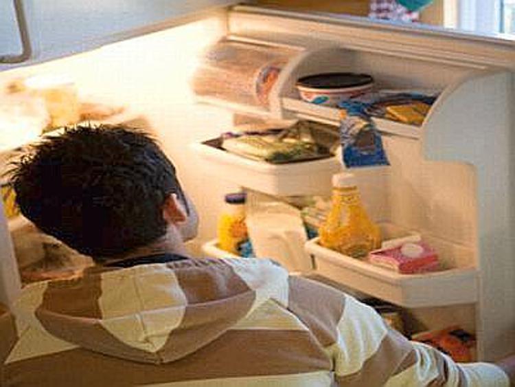 Design dei frigoriferi per elaborare soluzioni contro lo spreco alimentare