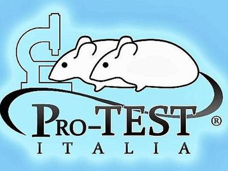 'Se so dove studia ci penso io!', denuncia: discriminata perché pro test animali