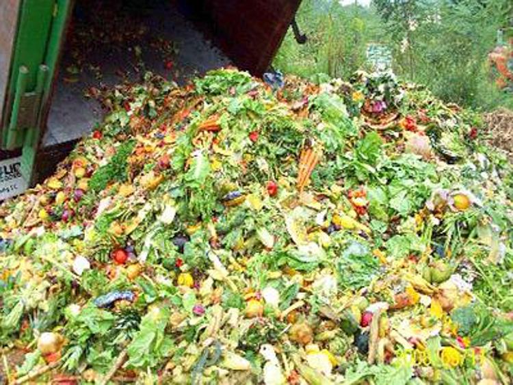 Al via la strategia nazionale contro lo spreco alimentare, istituito Pinpas