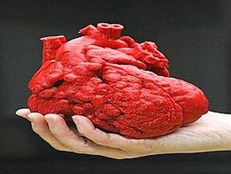 Usa, Roland salvato a 14 mesi da cuore stampato in 3D
