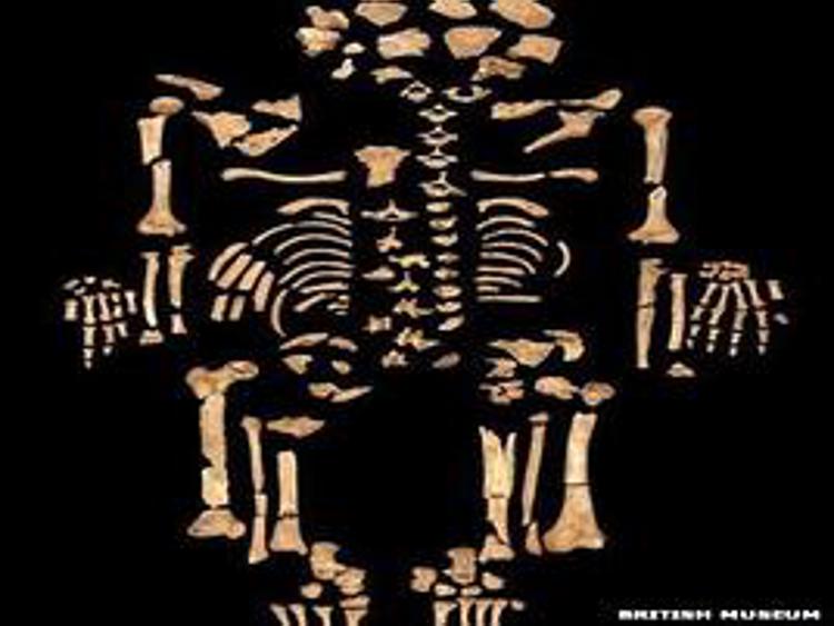 Tumori, il primo caso in un antico scheletro egizio