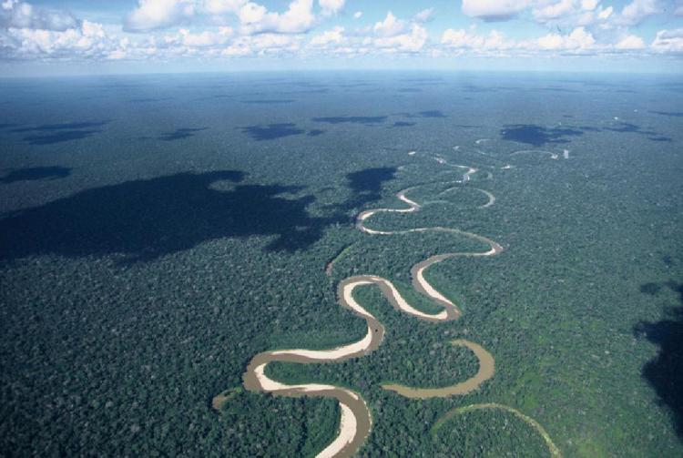 Ambiente: Amazzonia, ogni minuto distrutta foresta pari a 3 campi di calcio