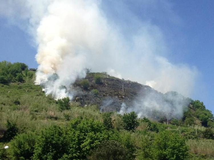 Incendi, Olbia: a fuoco decine di ettari di macchia alle porte della città