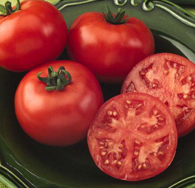 Pomodoro De Rica primo prodotto certificato sostenibile da ‘Friend of the Earth’