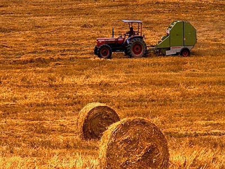 Agricoltura: Agia-Cia, con nuovi Psr potenziare misure per ricambio generazionale