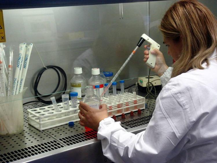 Perugia: prospettive per cure leucemia da ricercatori ospedale