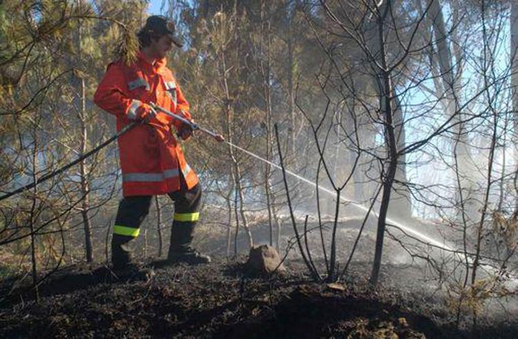 Incendi: rogo in parco regionale nel tarantino, chiesto intervento aereo