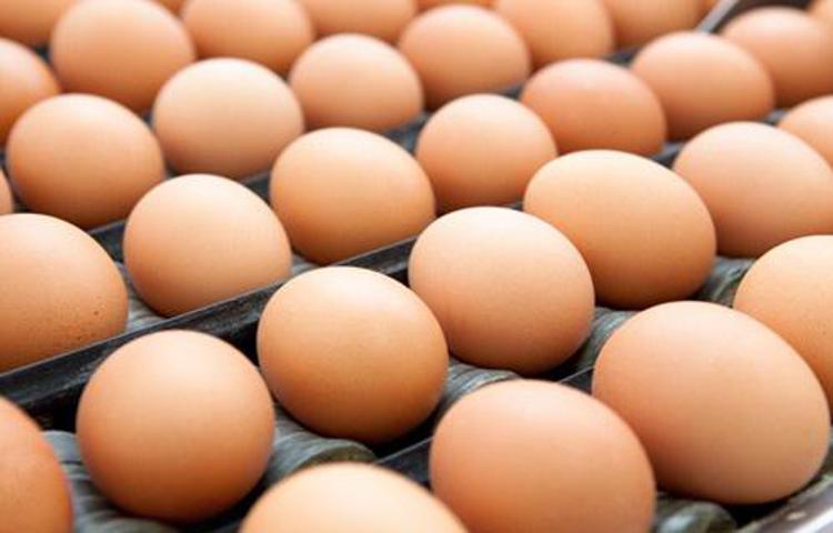 Bari: sequestrate 20mila uova per mancanza di informazioni su scadenza