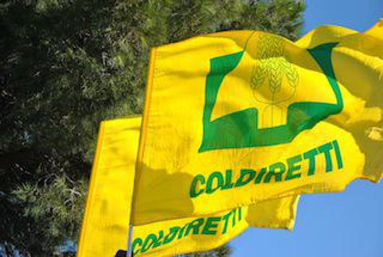 Sardegna: Coldiretti, bene sblocco 81,5 mln pagamento domande uniche Psr 2013