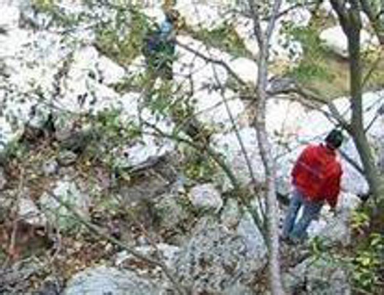 Capri, turista americano salva cane caduto in dirupo da 3 giorni
