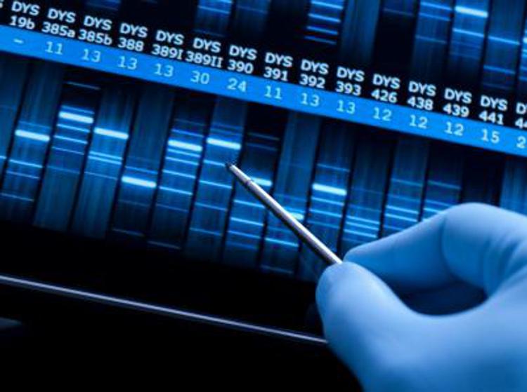 DNA test sequence for research and science