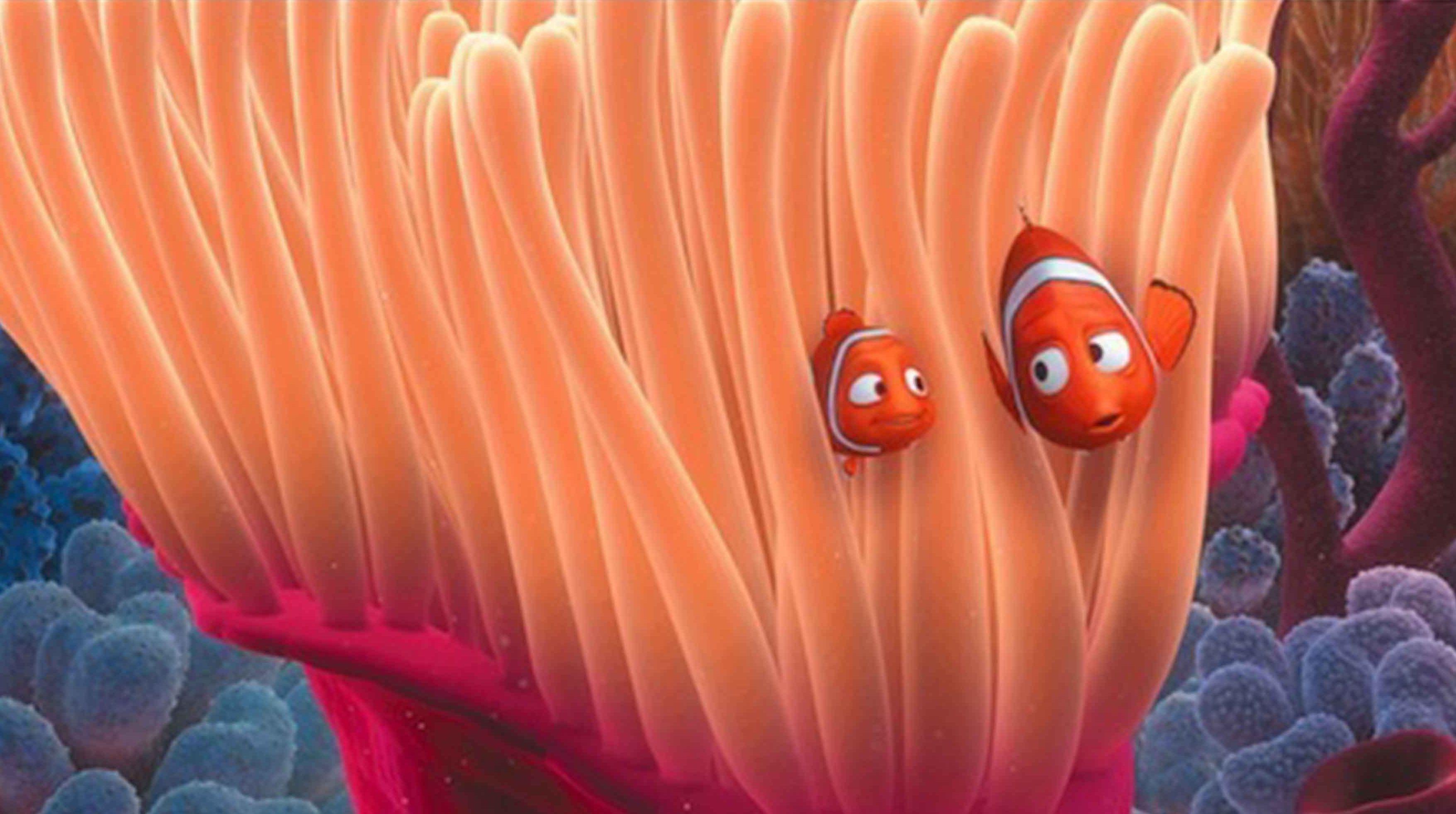 Ricorda in maniera impressionante al pesciolino Nemo, protagonista del film d’animazione della Pixar (Iberpress)