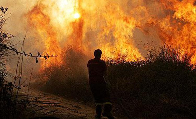 Incendi: M5S, roghi dolosi in Sicilia, forestali denuncino responsabili