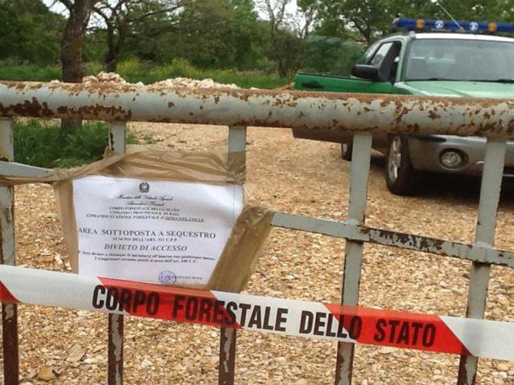 Ambiente: blitz anti-abusivismo Forestale e Polizia municipale sul Gargano