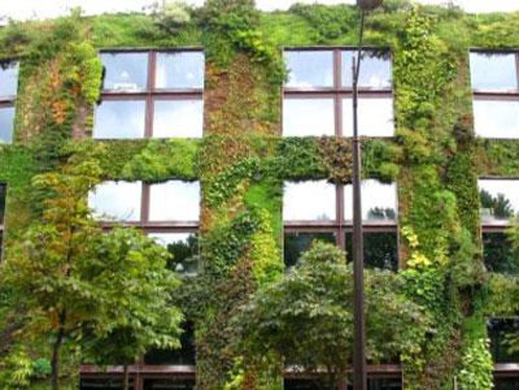 Architettura verde, e' anti-smog e migliora qualita' della vita