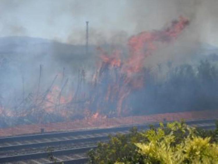 Incendi: fiamme sui binari, sospesa circolazione ferroviaria in Calabria