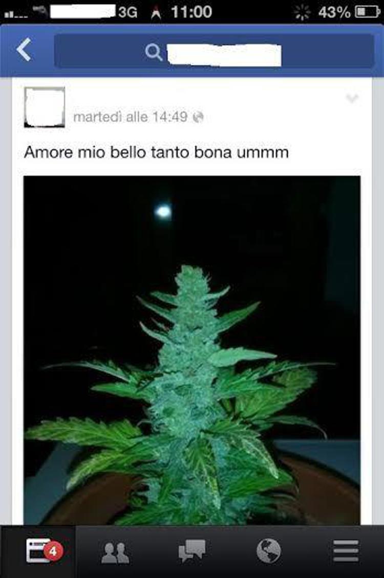 Cagliari: pubblicizza la sua marijuana su facebook, scoperto da carabinieri