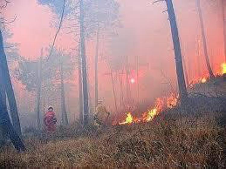 Incendi, distrutti due agriturismo e aziende agricole ad Arbus