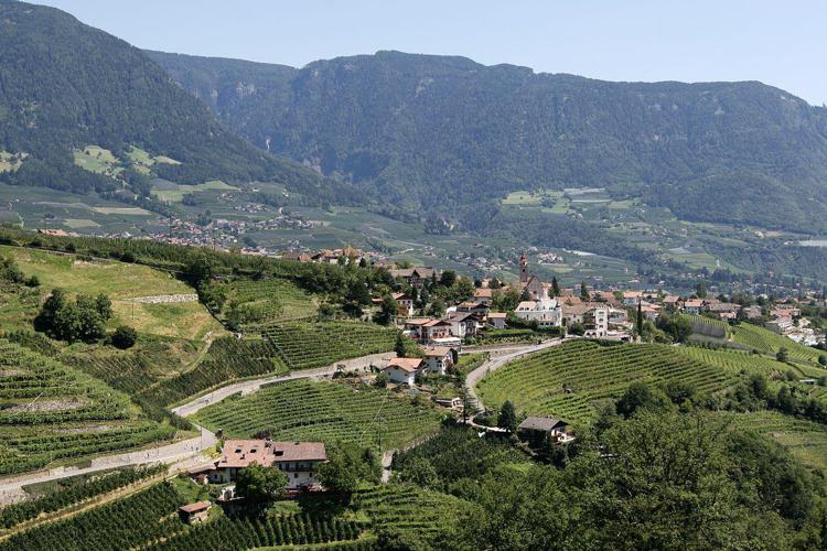 Bolzano: agricoltore cade in un dirupo e muore