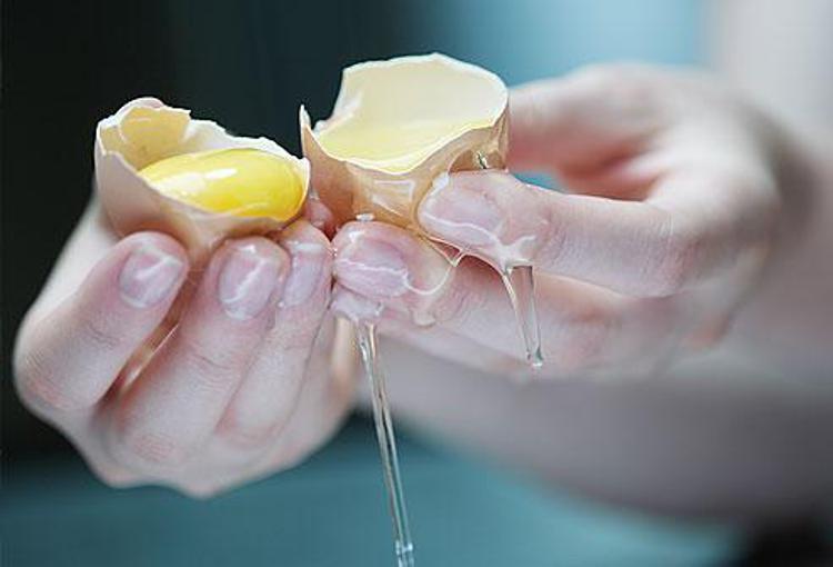 Sanita': salmonellosi, a Ravenna scatta divieto somministrazione uova crude