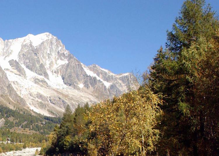 Valle d'Aosta: a settembre torna la Desarpa, festa della discesa da alpeggi