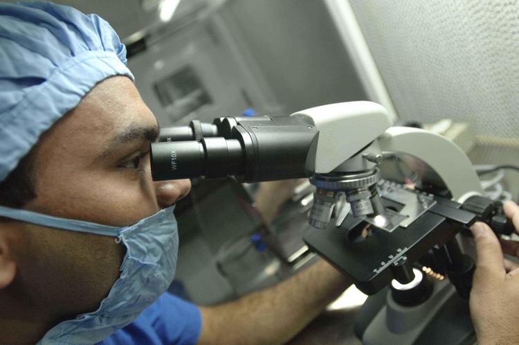Ricerca: 'supermicroscopi' italiani mostrano nuovi dettagli cellula