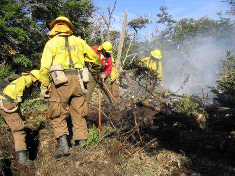 Incendi boschivi: 'Dusty' in aiuto dei forestali per nuova campagna