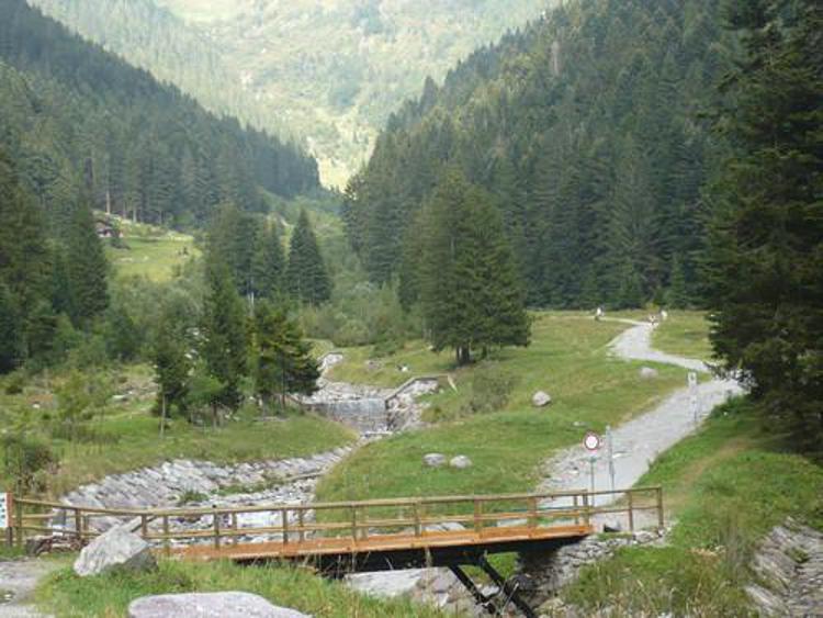 Montagna: Piemonte, da Regione 900 mila euro per migliorare rete sentieri