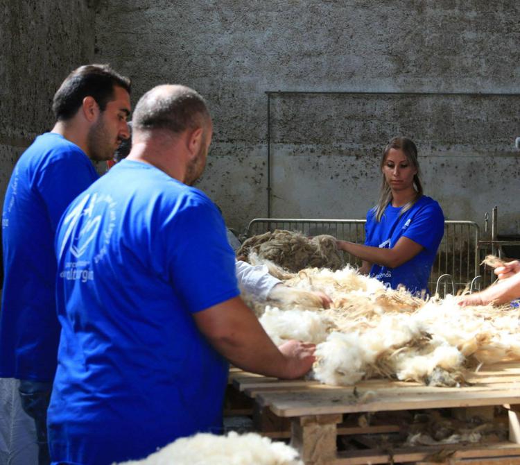 Lavorazione della lana 