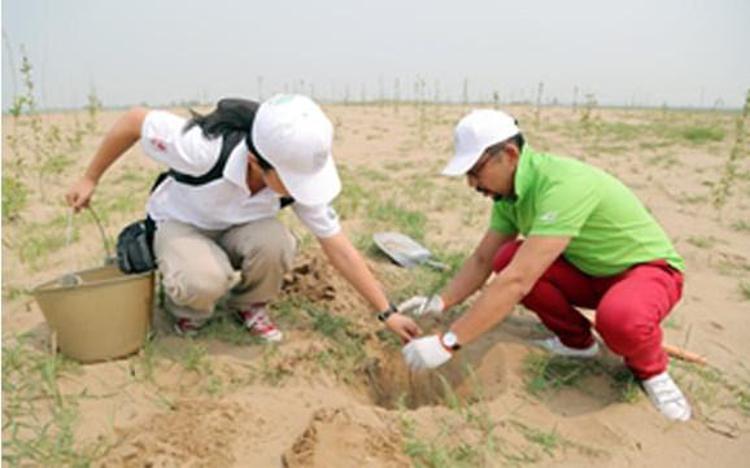Ferrari pianta in Mongolia 100mila alberi: 'Avanti con la lotta a CO2'