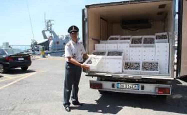 Salerno: Gdf sequestra 113 kg di novellame pescato illegalmente