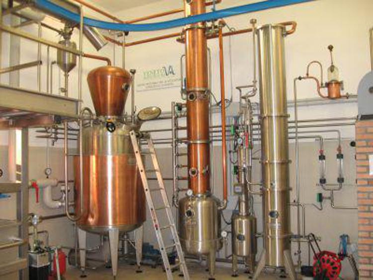 Enogastronomia: tra alambicchi e distillatori 'Grapperie aperte' si scopre social