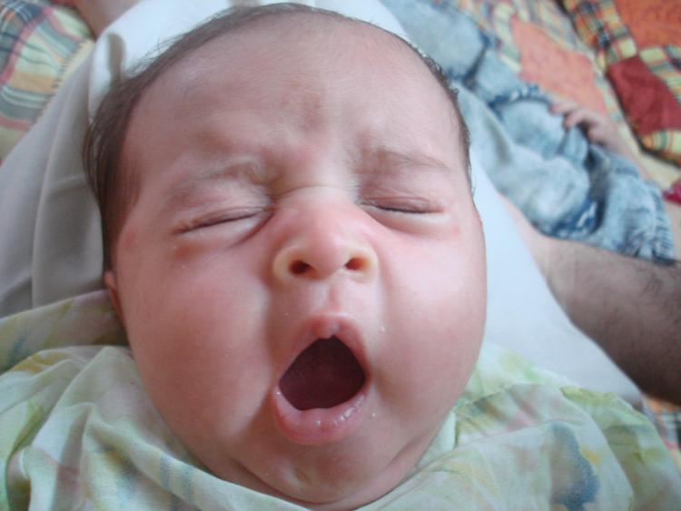 Con le culle di pelliccia crolla il rischio asma nei bebè