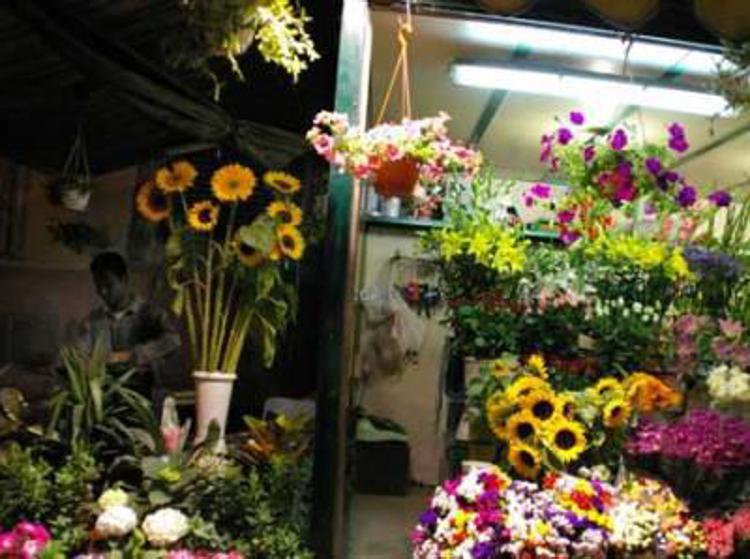 2 novembre: Confagricoltura, spinge in alto fatturato mercato fiori