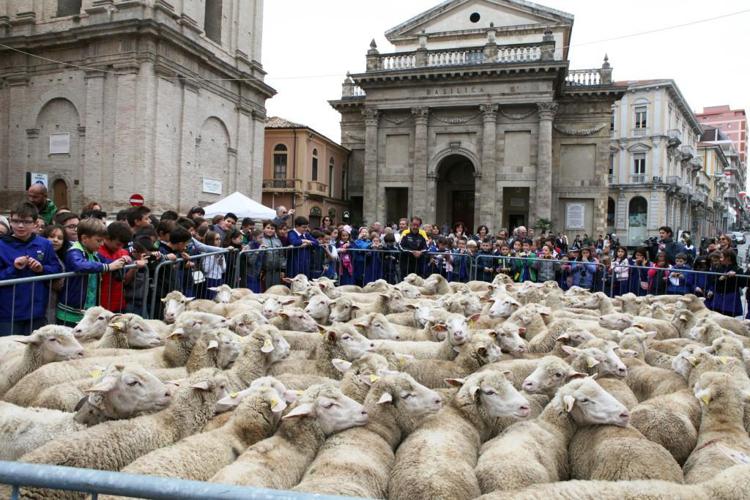 Agricoltura: in Abruzzo 'A spasso con i pastori' per rievocare transumanza