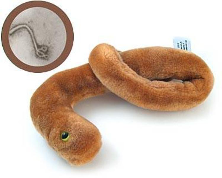Nella foto, la versione peluche del virus Ebola/ Fonte foto giantmicrobes.com