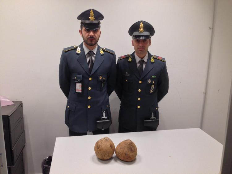 Varese: Gdf sequestra 3 kg cocaina in noci di cocco, arrestato corriere