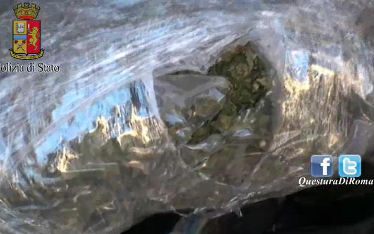Two arrested, 600kg of marijuana seized off Italy