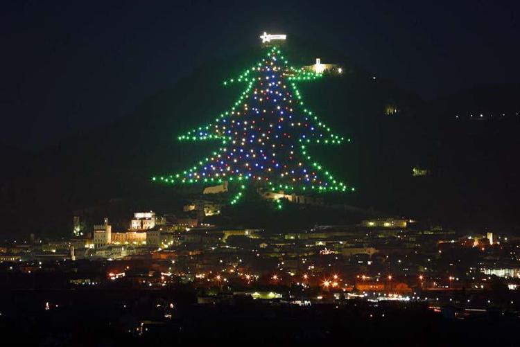 Natale: domenica il Papa accende l'Albero di Gubbio, il più grande del mondo