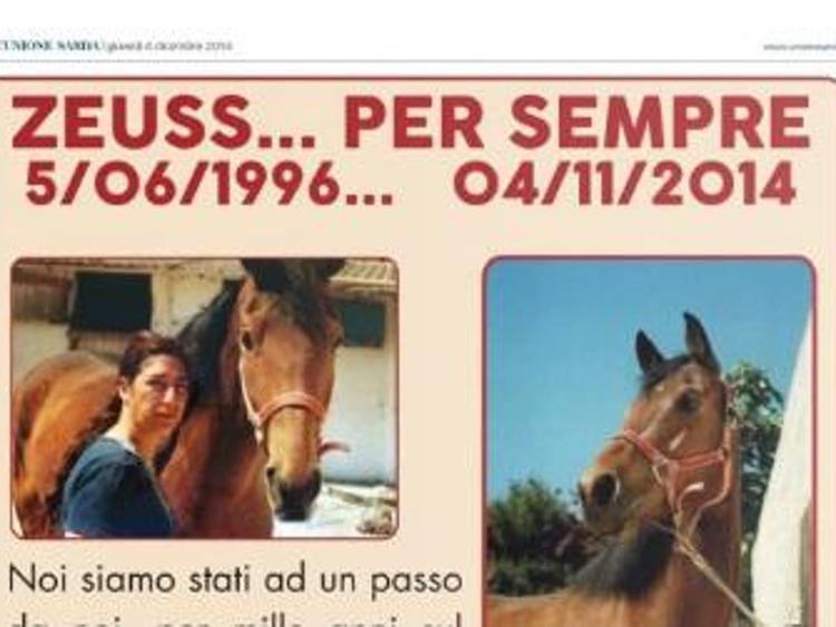 Animali: Cagliari, necrologio a pagina intera su Unione Sarda per morte cavallo