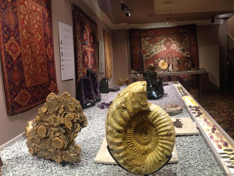 Milano: si chiude oggi la mostra del fossile