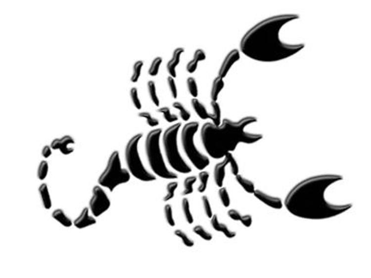 Scorpione, l'oroscopo del 2015