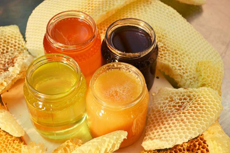 Startup: BEEing, arnie per produrre miele in città senza api