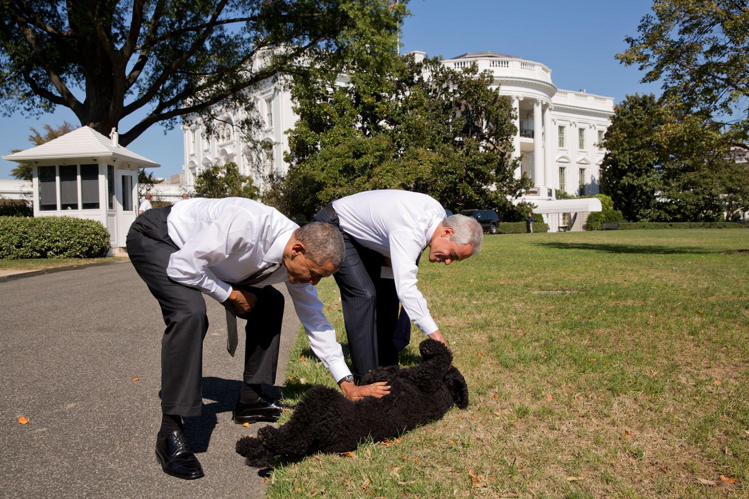 Obama carezza il cane Sunny assieme al sindaco di Chicago Rahm Emanuel il 6 ottobre 2014.