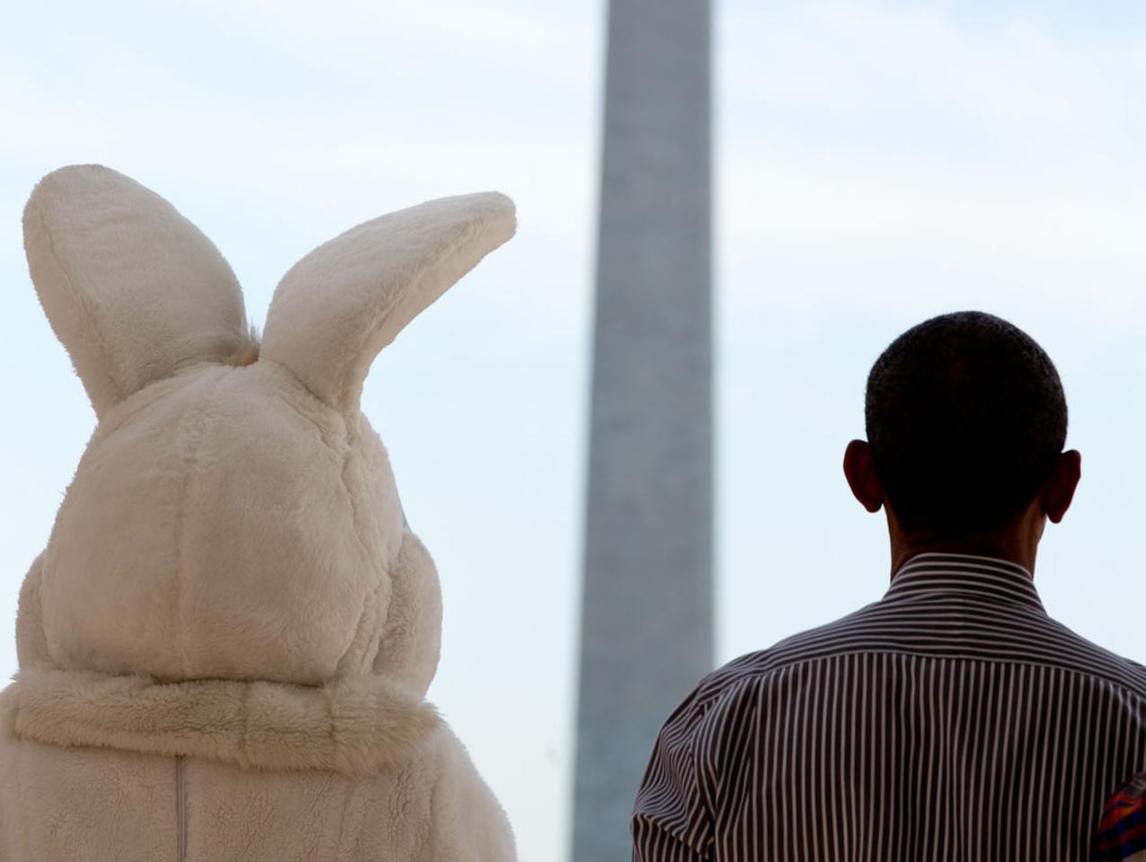 Obama e il Coniglio pasquale ascoltano l'inno nazionale sul balcone della Blue Room. Foto scatta il 21 aprile 2014 in occasione della caccia all'uovo nei giardini della Casa Bianca. "Le due più famose paia di orecchie di Washington", ha commentato il presidente. 
